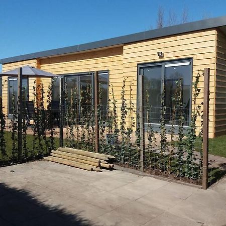 Luxe Vakantie Bungalow Met 3 Slaapkamers Dronrijp Eksteriør billede